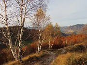 53 Torna la luce del sole, splendono i colori autunnali